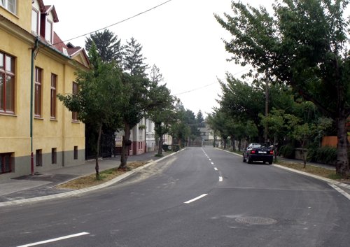 20090918mikovinyi02.jpg