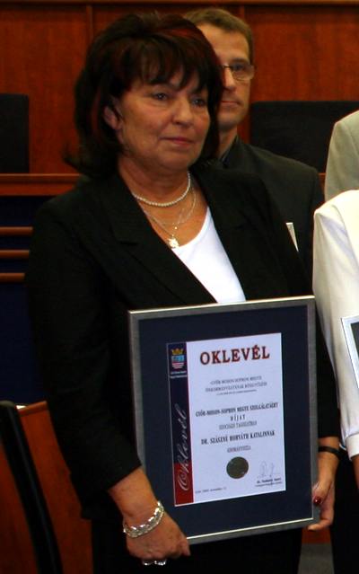 20091111megyeszc06.jpg