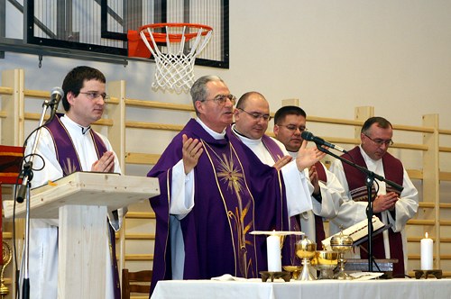 20100306orsolycikk03.jpg