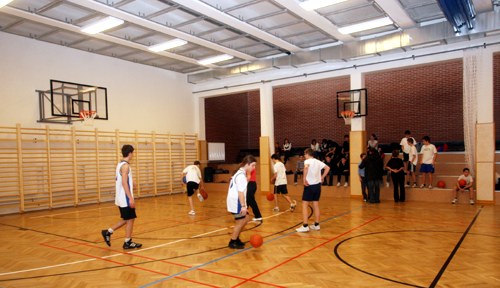 20100306orsolycikk05.jpg