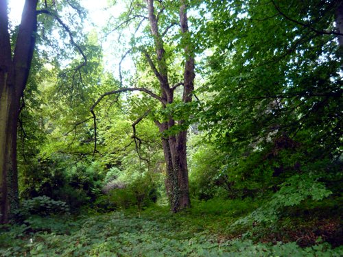 botanikuskert02m.jpg