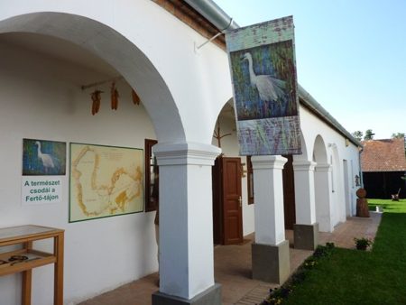 20100613fertohomok30m.jpg