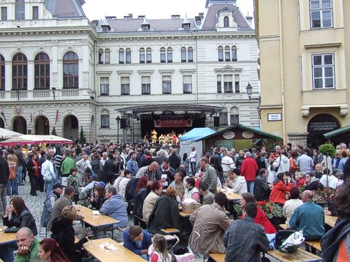 2011foeterborunnep02.jpg