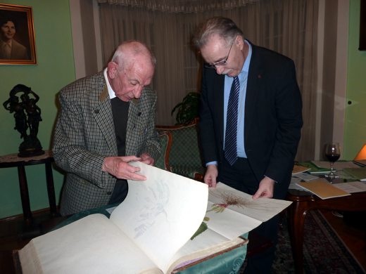 P1160009c.jpg