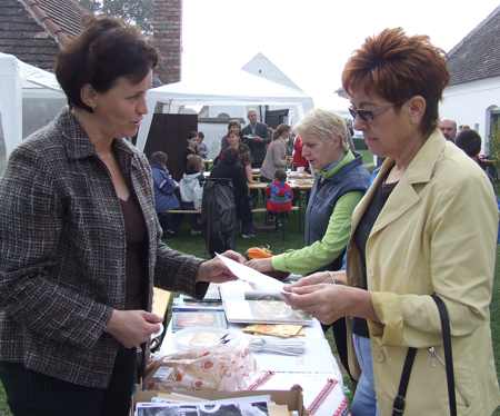 1011tokfesztcikk01.jpg