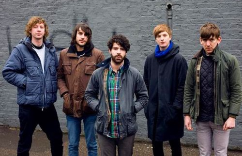 foals-500p.jpg