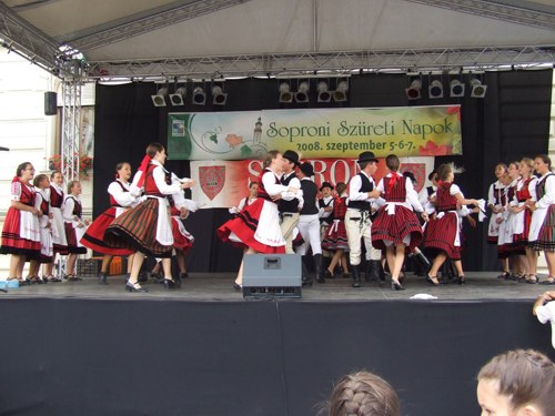 20080907szureti04ccc.jpg