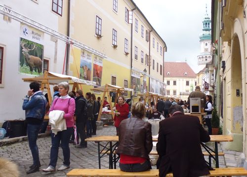 P1040209ccc.jpg