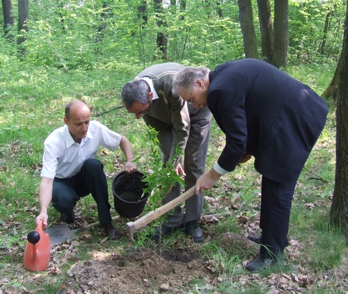 20090424dalosc05.jpg