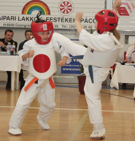 2009003karate03.jpg