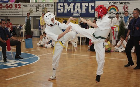 2009003karate04.jpg